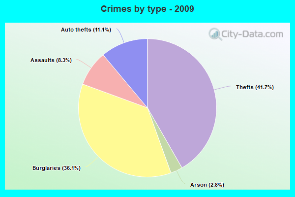 Crimes by type - 2009