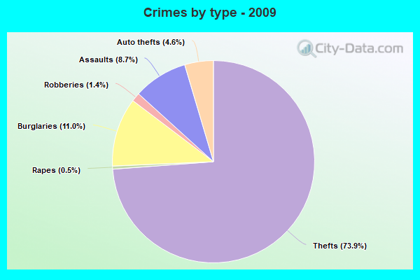 Crimes by type - 2009