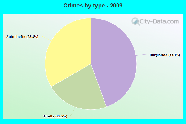 Crimes by type - 2009