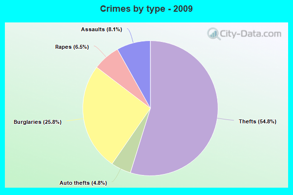 Crimes by type - 2009