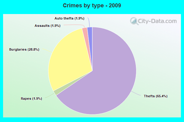 Crimes by type - 2009