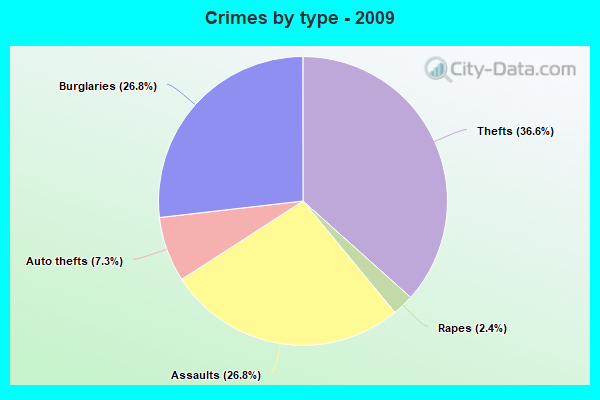 Crimes by type - 2009