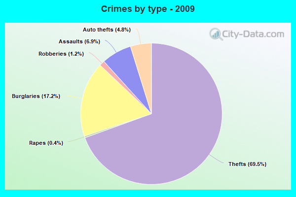 Crimes by type - 2009