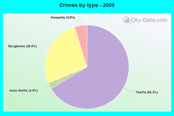 Crimes by type - 2009