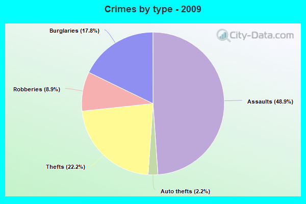 Crimes by type - 2009