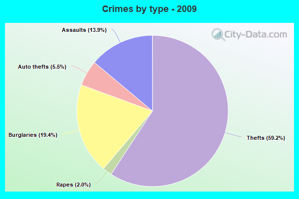 Crimes by type - 2009