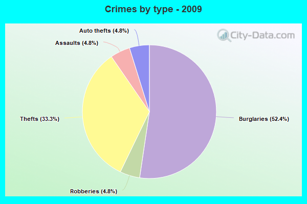 Crimes by type - 2009