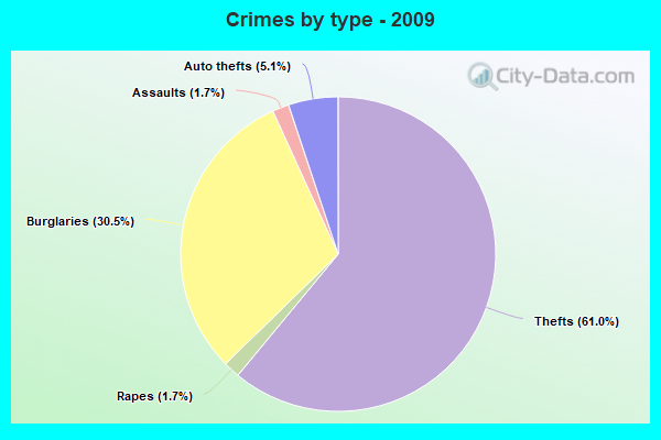 Crimes by type - 2009