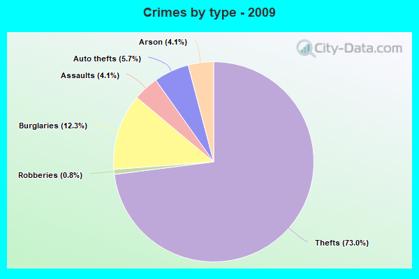 Crimes by type - 2009