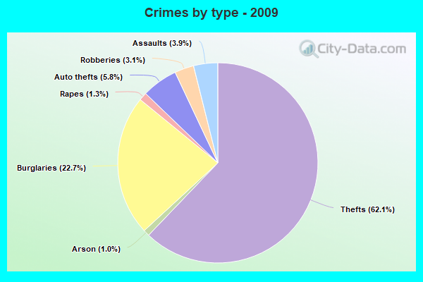 Crimes by type - 2009