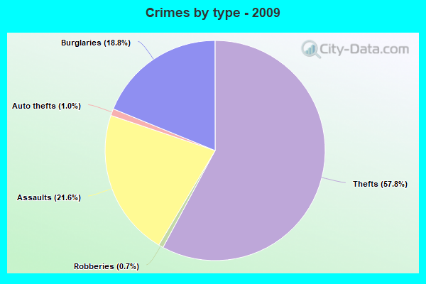 Crimes by type - 2009