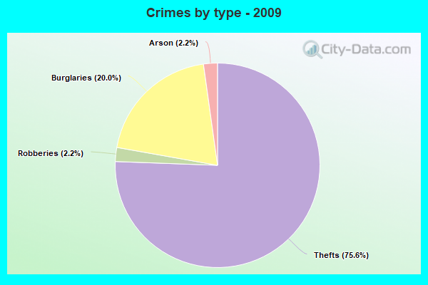 Crimes by type - 2009