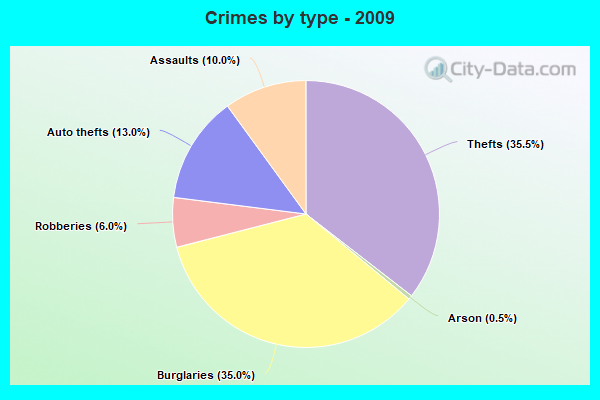 Crimes by type - 2009