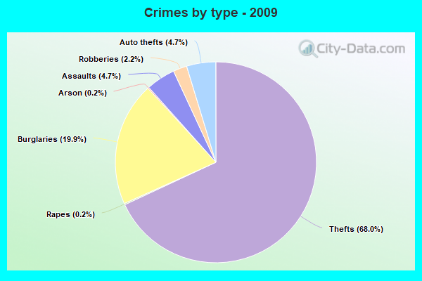 Crimes by type - 2009