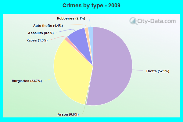 Crimes by type - 2009