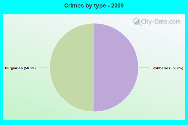 Crimes by type - 2009