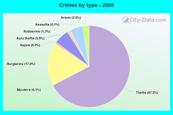 Crimes by type - 2009