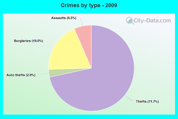 Crimes by type - 2009