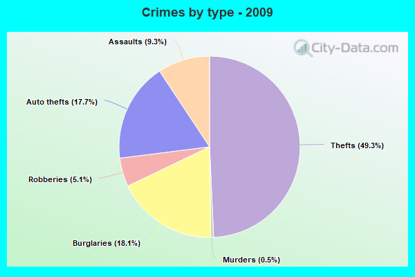 Crimes by type - 2009