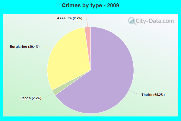 Crimes by type - 2009