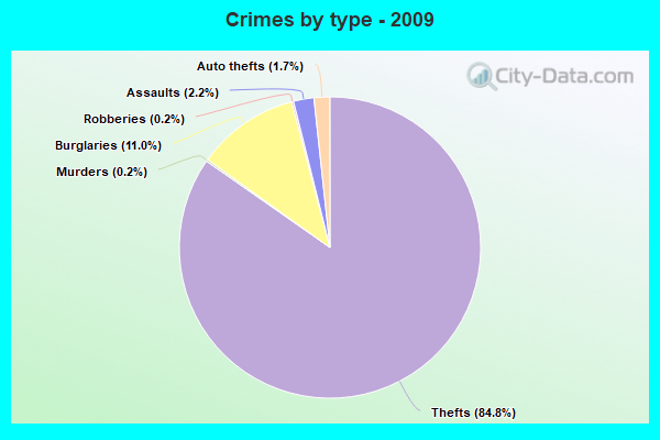 Crimes by type - 2009