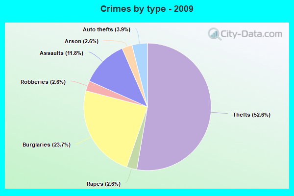 Crimes by type - 2009