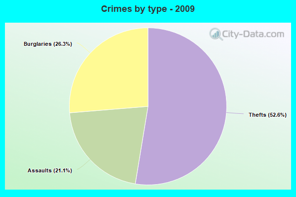 Crimes by type - 2009