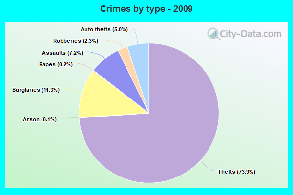 Crimes by type - 2009