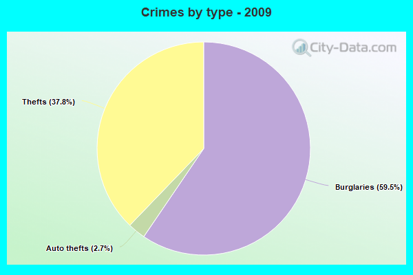 Crimes by type - 2009