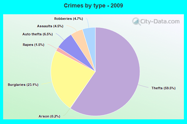 Crimes by type - 2009