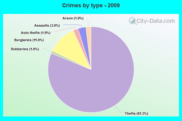 Crimes by type - 2009