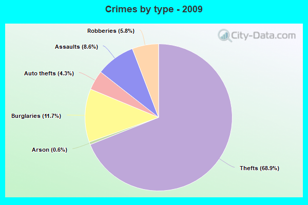 Crimes by type - 2009