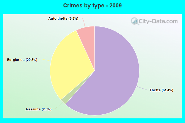 Crimes by type - 2009