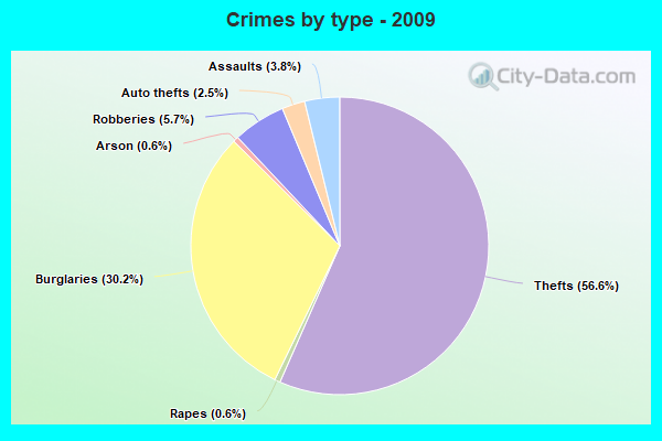 Crimes by type - 2009