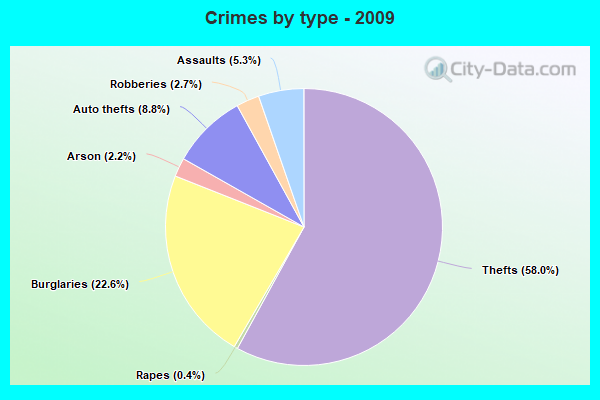 Crimes by type - 2009