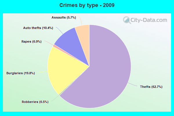 Crimes by type - 2009