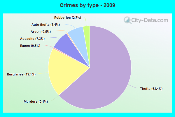 Crimes by type - 2009