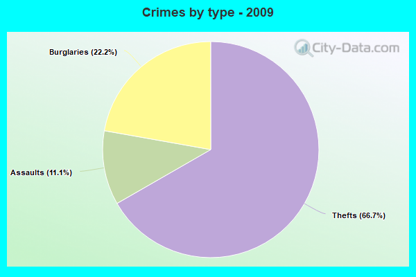 Crimes by type - 2009