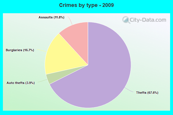 Crimes by type - 2009