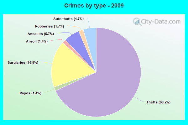 Crimes by type - 2009