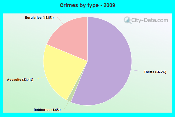 Crimes by type - 2009