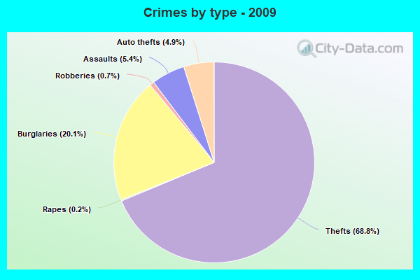 Crimes by type - 2009