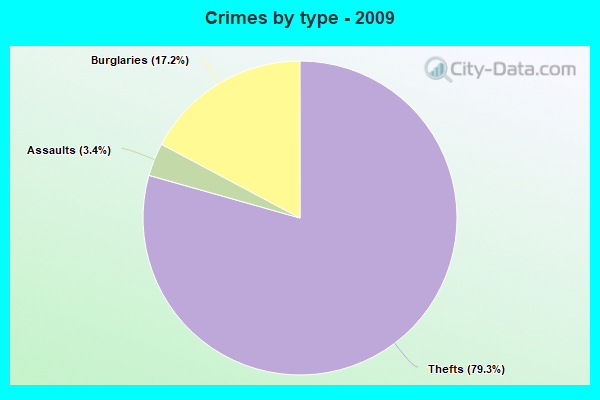 Crimes by type - 2009