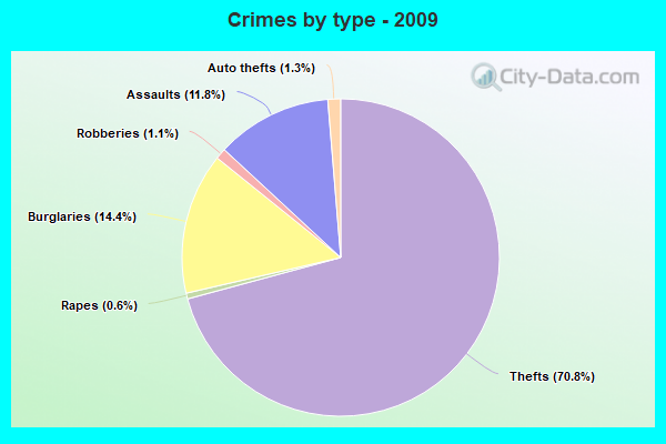 Crimes by type - 2009