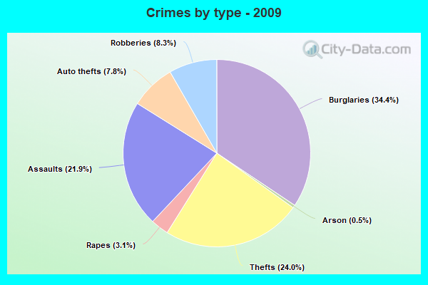 Crimes by type - 2009