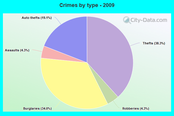 Crimes by type - 2009