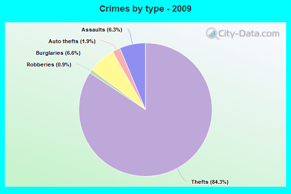 Crimes by type - 2009