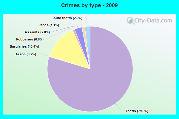 Crimes by type - 2009