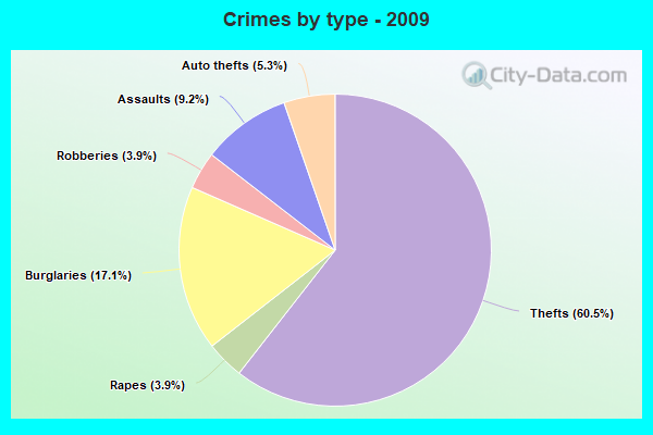 Crimes by type - 2009