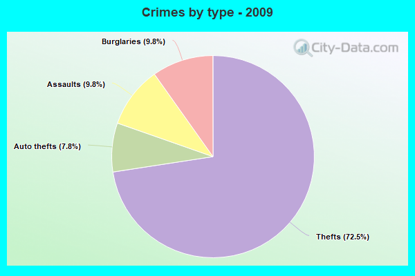 Crimes by type - 2009